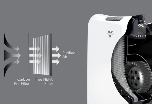 Benefits Of Using An Air Purifier All Year Round