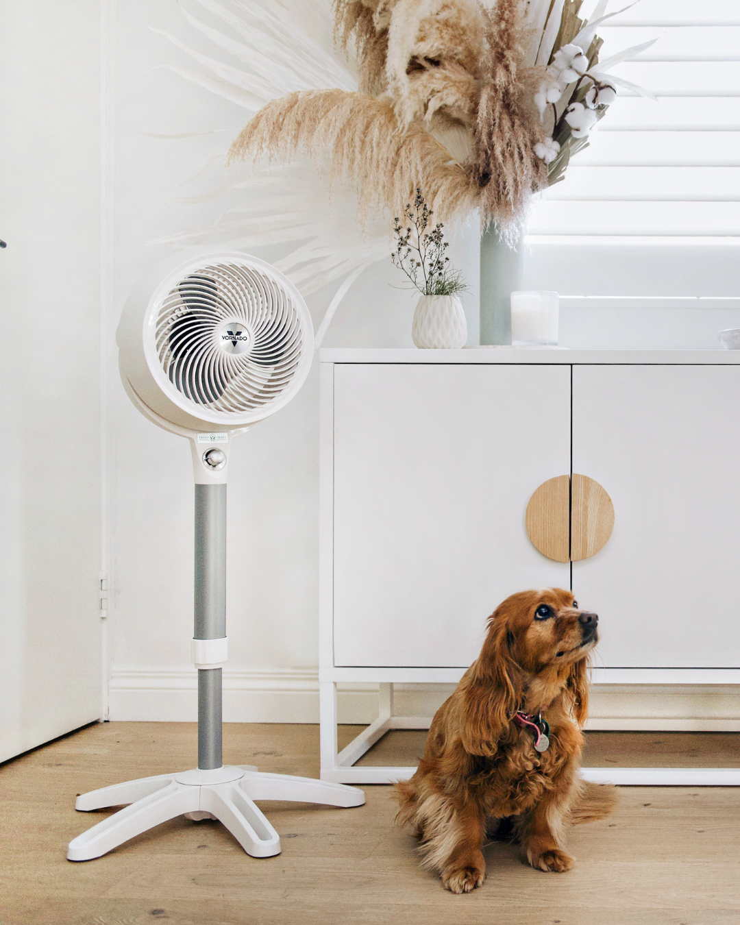 Vornado 683DC Energy Smart™ Medium Pedestal Air Circulator
