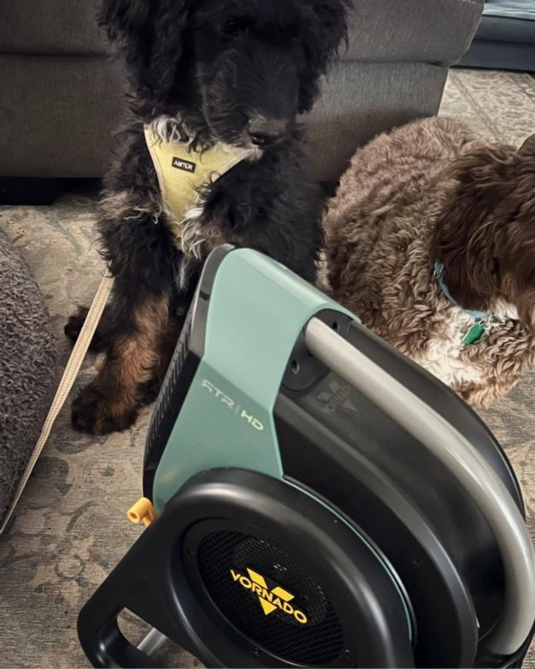 Vornado RTR HD Heavy-Duty High Velocity Fan