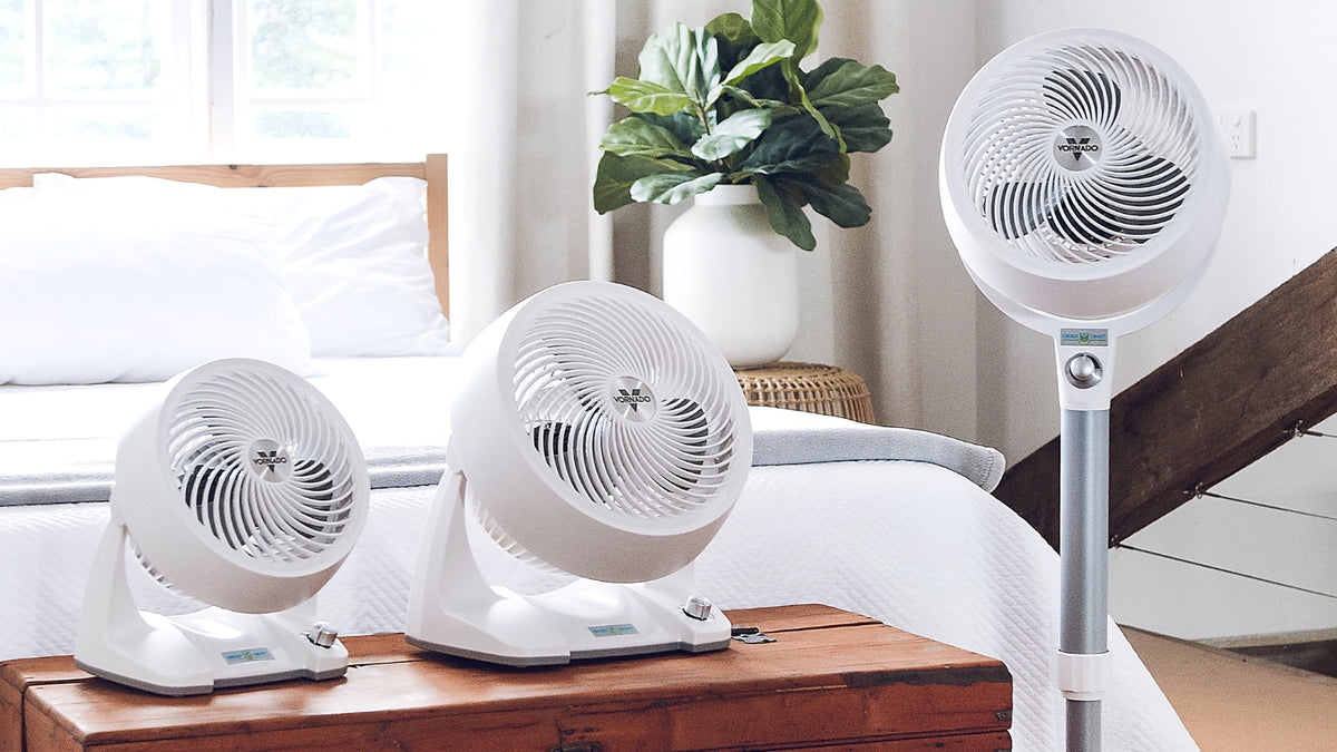 Three white Air Circulator fans, including two small Air Circulator fans and one larger pedestal Air Circulator, arranged in a bright bedroom setting next to a bed and potted plant.
