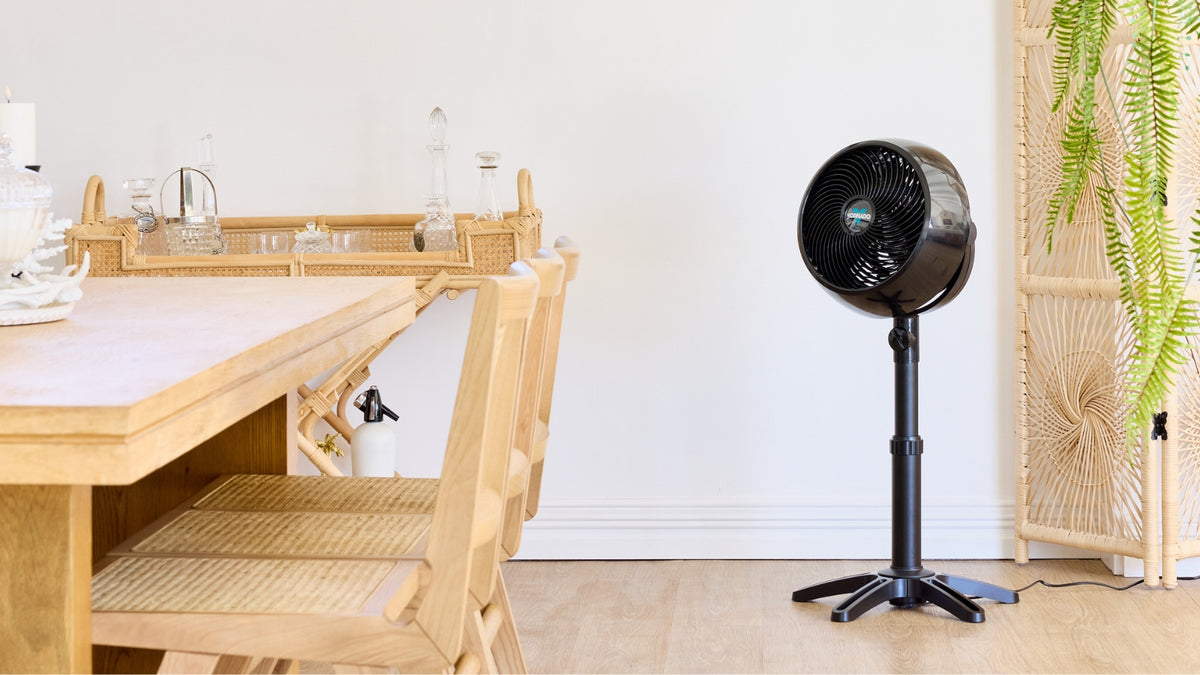 A black Vornado Pedestal Air Circulator placed in a bright, modern room with a wooden dining table and chairs, a woven rattan screen, and a green hanging plant.